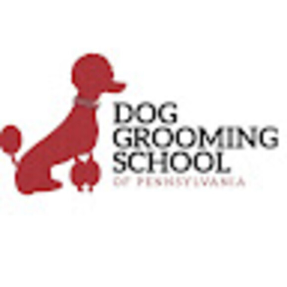 doggroom68
